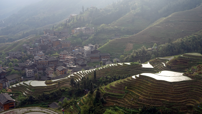 2017-04-11_170936 china-2017.jpg - Longsheng - Pingan - Reisterassen